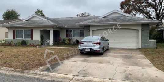 13017 Sirius Ln, Hudson, FL 34667