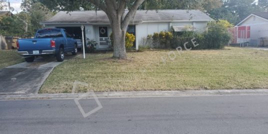 271 Citrus Dr, Kissimmee, FL 34743