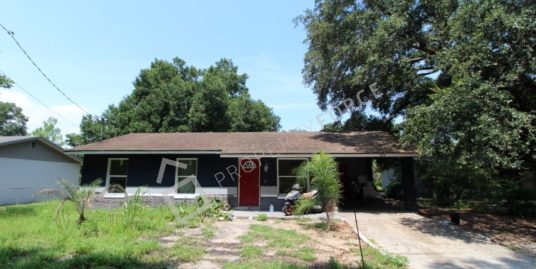 312 S Pine Street, Bushnell, FL 33513