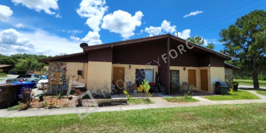 4204 Spitfire Avenue Kissimmee FL 34741