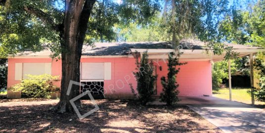 1920 Selleen Dr, Eustis, FL 32726