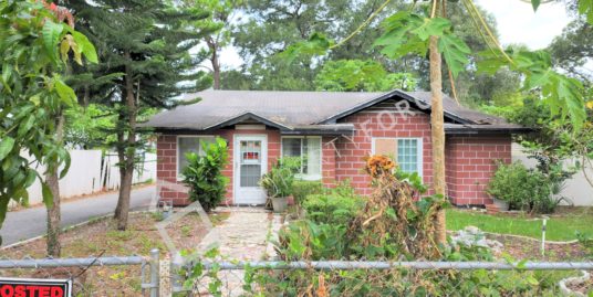 1315 E 1st Ave, Mount Dora, FL 32757