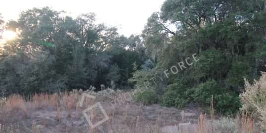 2125 E Willow Trace Ln, Inverness, FL 34453