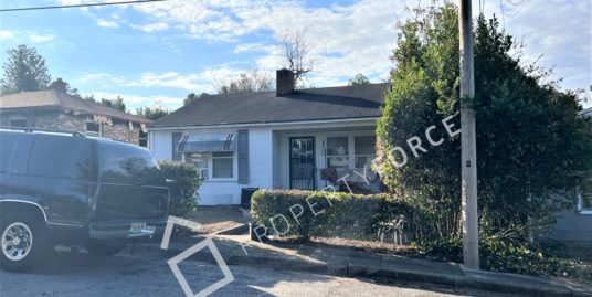 509 Delano Street Augusta, GA 30904