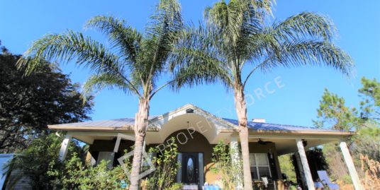 3945 Swamp Deer Road New Smyrna Beach FL 32168