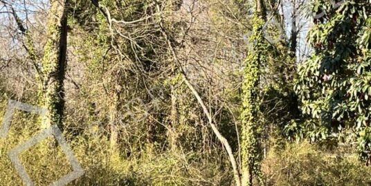 King Street Jonesboro GA 30236