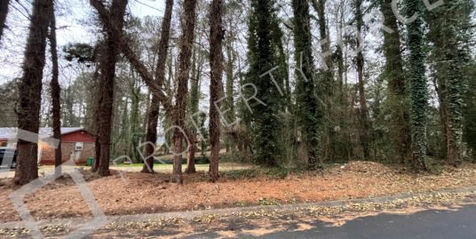 2717 Williamsburg Drive Decatur, GA 30034