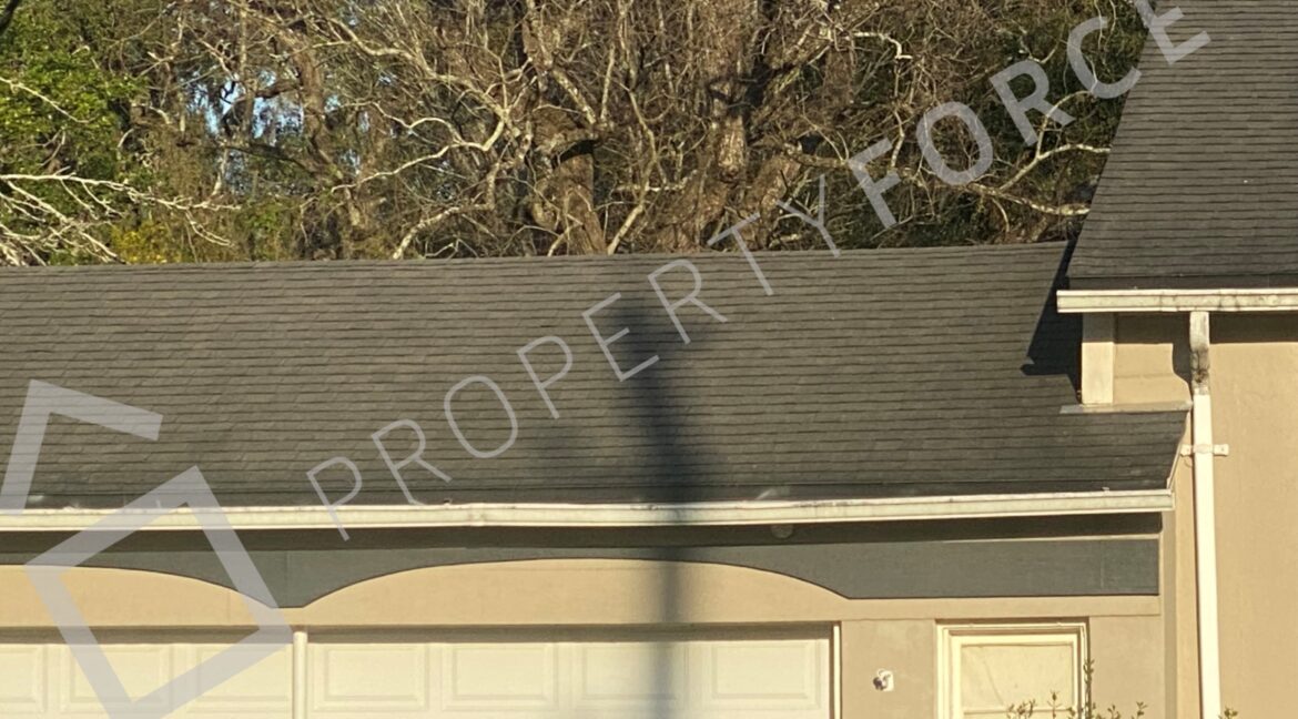 Photo Feb 16 2023, 5 07 51 PM