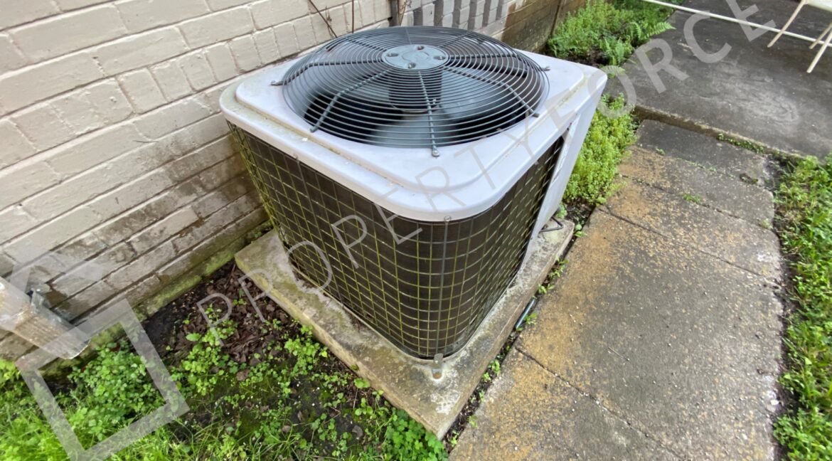 Photo Feb 16 2023, 5 13 50 PM