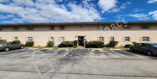 1100 E Caroline St Apt 217, Tavares, FL 32778