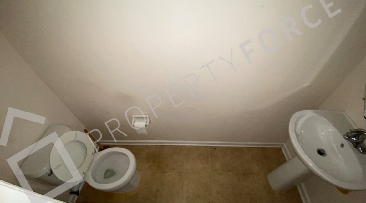 Photo Mar 06 2023, 5 30 29 PM