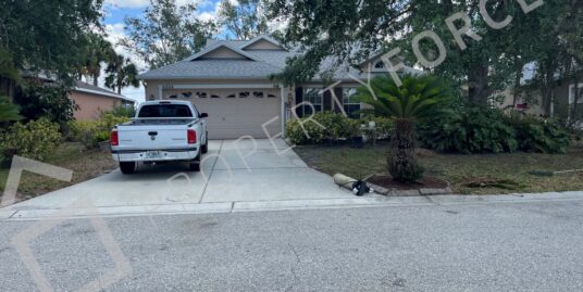 4224 Malickson Dr, Parrish, FL 34219