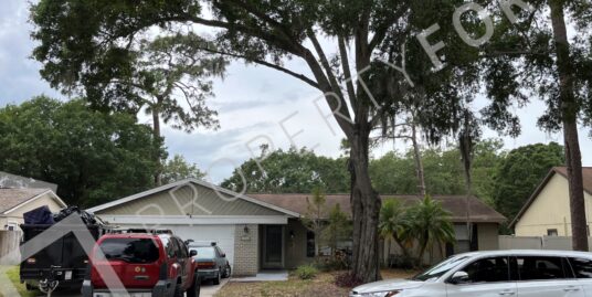 15120 Trail Creek Pl, Tampa, FL 33625