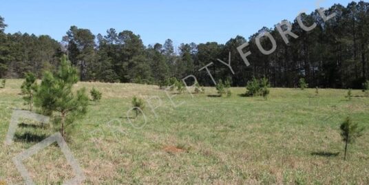 0 Ono Rd, Palmetto, GA 30268