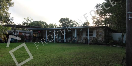 4314 S Thatcher Avenue, Tampa, FL 33611