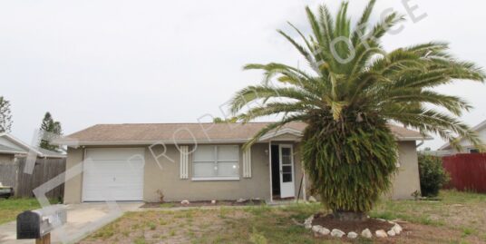 3519 Wilson Drive, Holiday, FL 34691