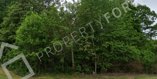 141 GEYSER PL STOCKBRIDGE, GA 30281