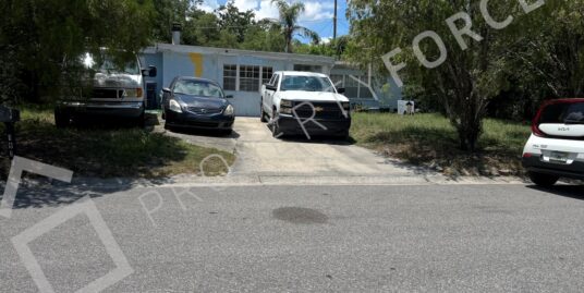 1913 E Broad St, Tampa, FL 33610