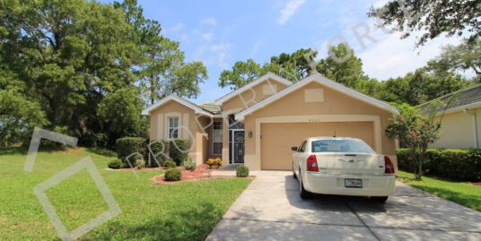 9025 Penelope Dr, Weeki Wachee, FL 34613