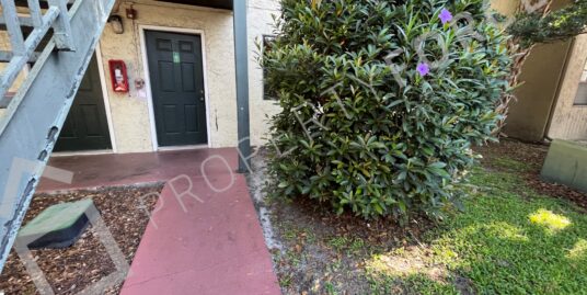 204 Pine Tulip Ct #101, Tampa, FL 33612