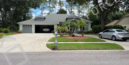 17110 Downs Dr, Odessa, FL 33556