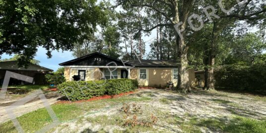 743 Trambley Dr E, Jacksonville, FL 32221