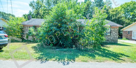 1620 Maple Street Leighton AL 35646