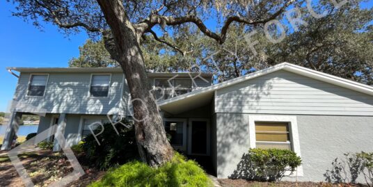 14734 Morning Dr Lutz, FL 33559