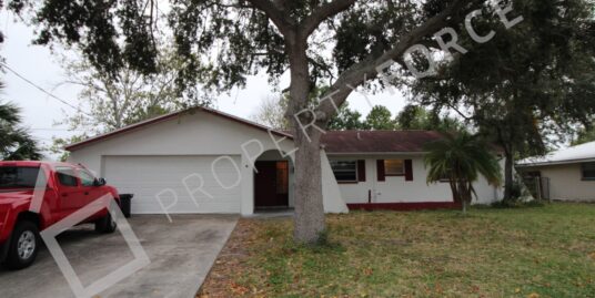 504 Firefly Ln, Apollo Beach, FL 33572