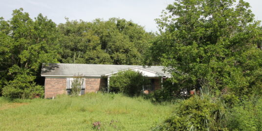 201 S Mare Ave, Howey In The Hills, FL 34737