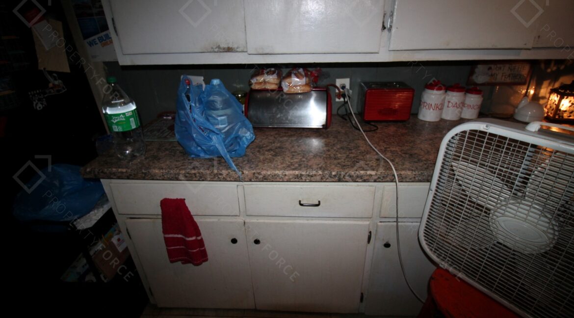 267 E Cherry St Groveland, FL 34736 (19)