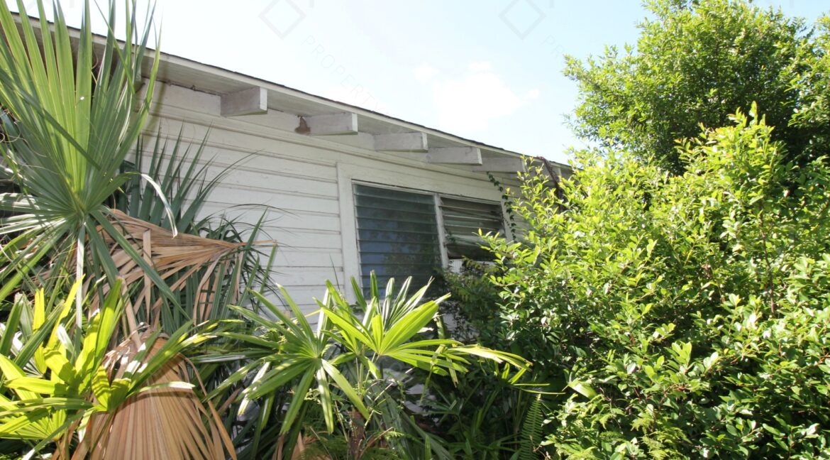 267 E Cherry St Groveland, FL 34736 (5)