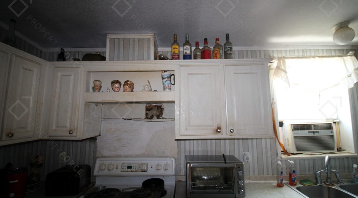 438 Perch Pl Lakeland, FL 33801 (20)