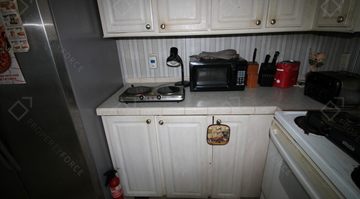 438 Perch Pl Lakeland, FL 33801 (21)