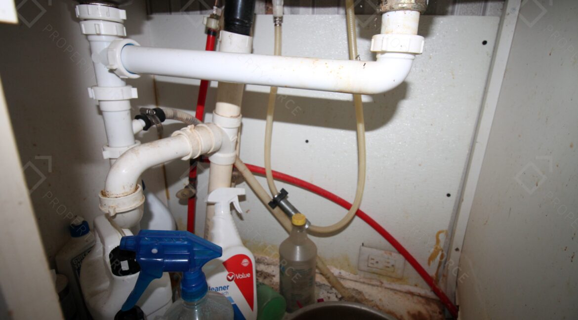 438 Perch Pl Lakeland, FL 33801 (23)