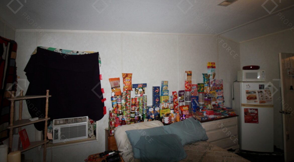 438 Perch Pl Lakeland, FL 33801 (35)