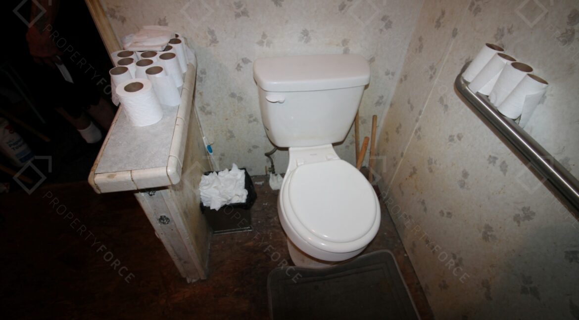 438 Perch Pl Lakeland, FL 33801 (39)