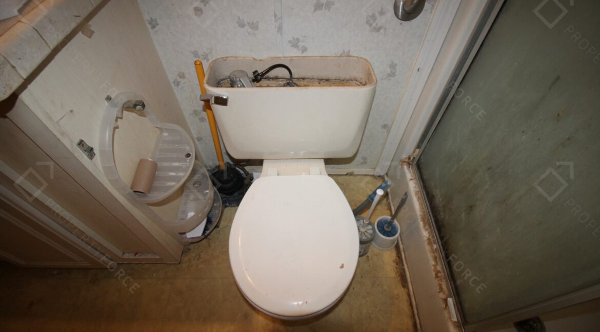 438 Perch Pl Lakeland, FL 33801 (62)