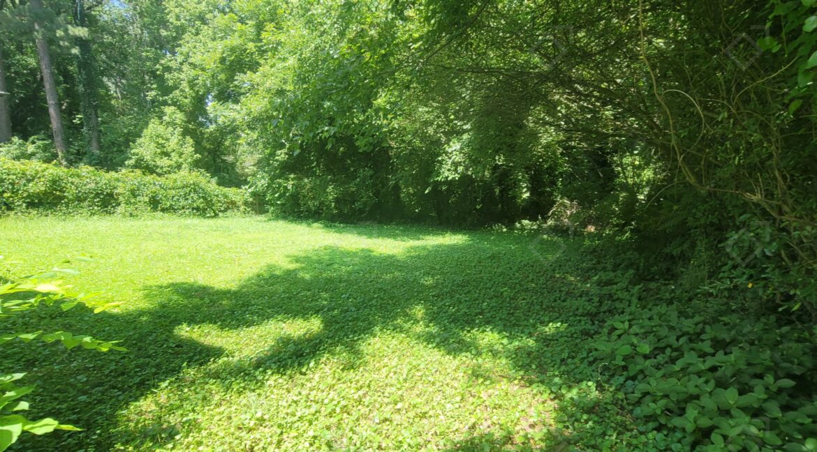 1884 Meadow Ln, Decatur, GA 30032 (12)