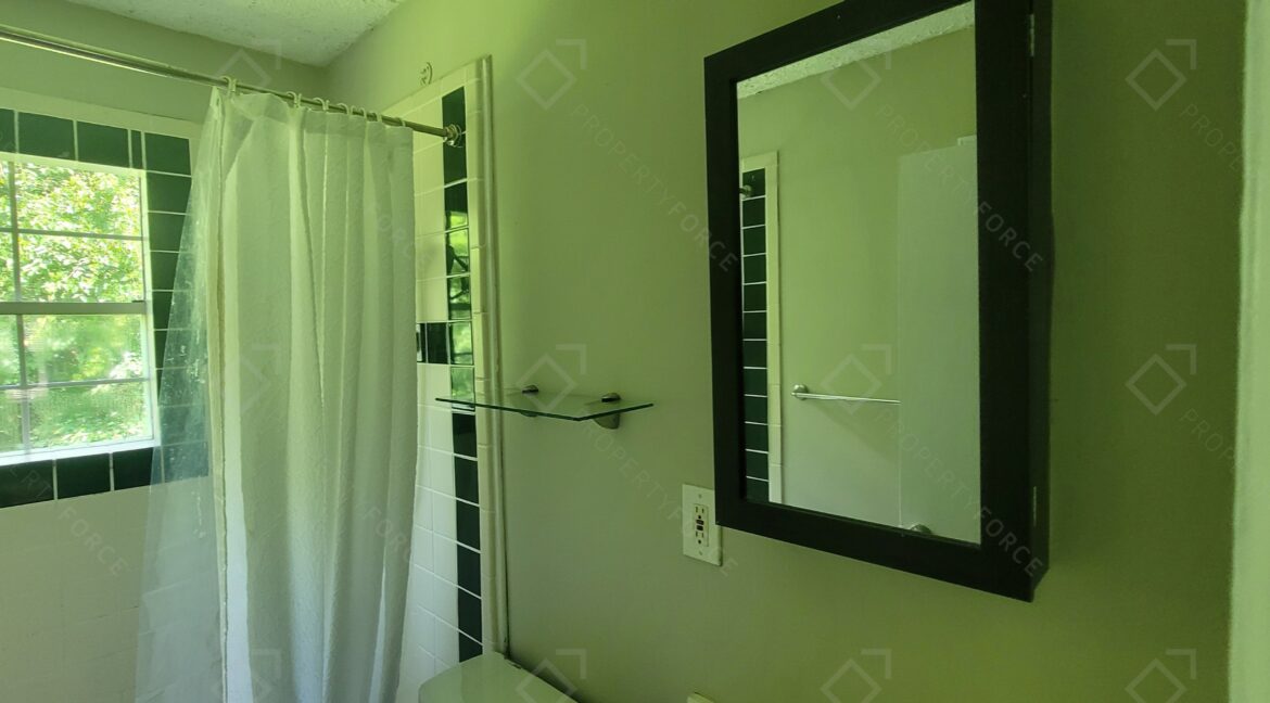 1884 Meadow Ln, Decatur, GA 30032 (35)