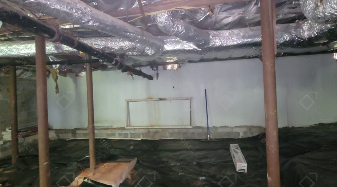 1884 Meadow Ln, Decatur, GA 30032 (53)