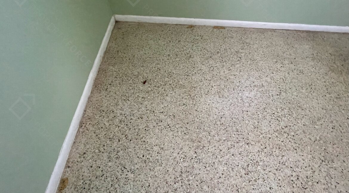 301 58th St N Saint Petersburg, FL 33710- (71)