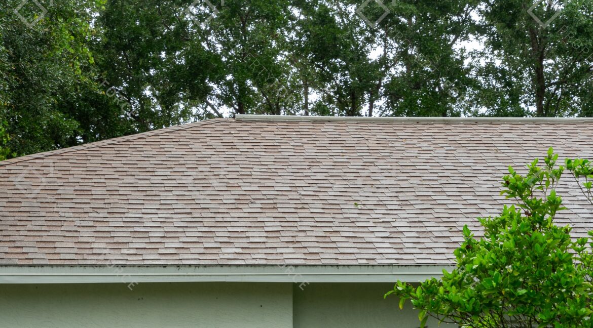 544 Pachman Cir Lehigh Acres, FL 33974 (9)