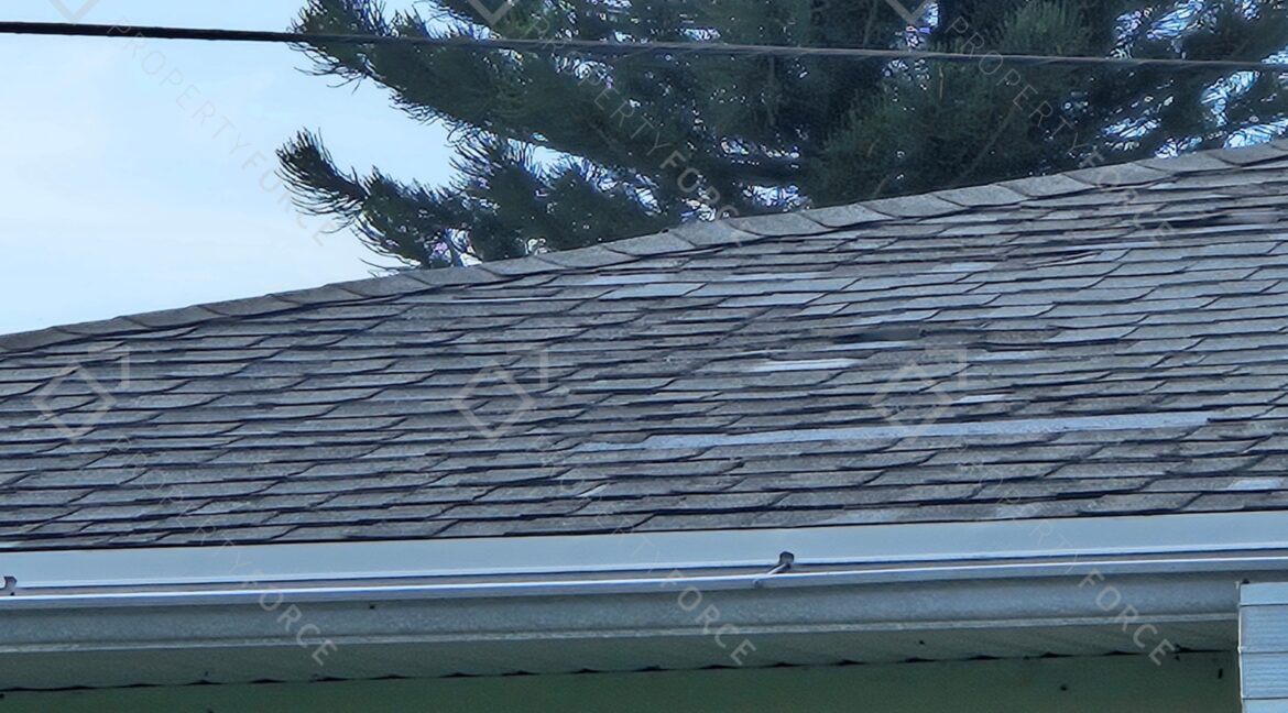 126 SW Lakehurst Dr, Port Saint Lucie, FL 34983 (17)