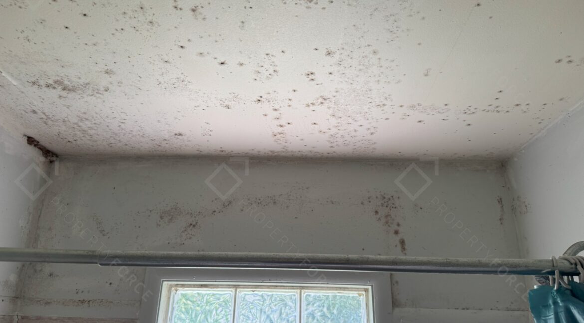 217 Lennox Parkway Pensacola FL 32505 (18)