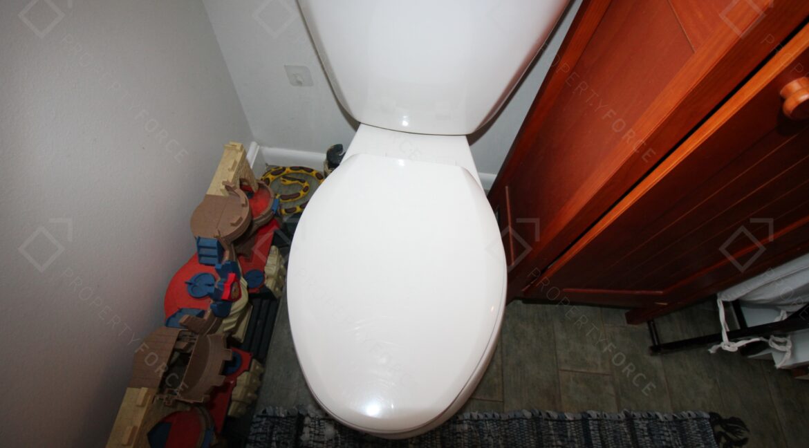 30459 Park Ridge Dr, Brooksville, FL 34602 (38)