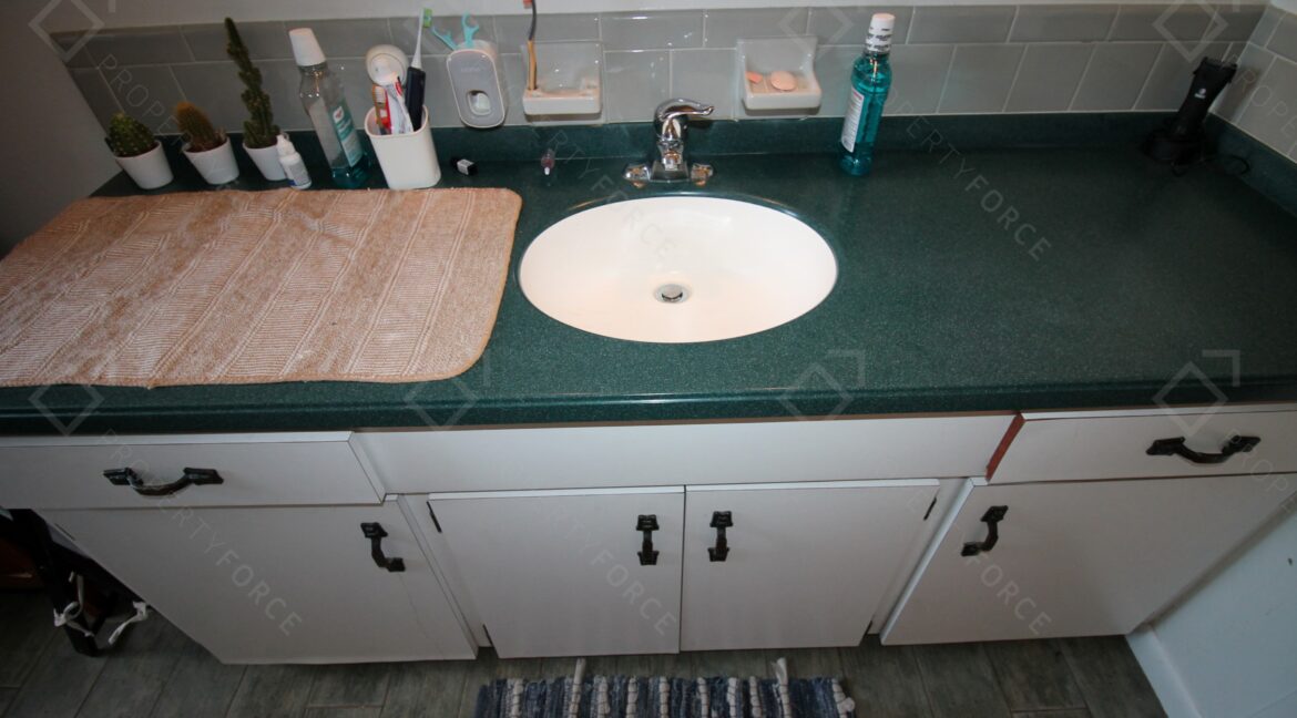 30459 Park Ridge Dr, Brooksville, FL 34602 (39)