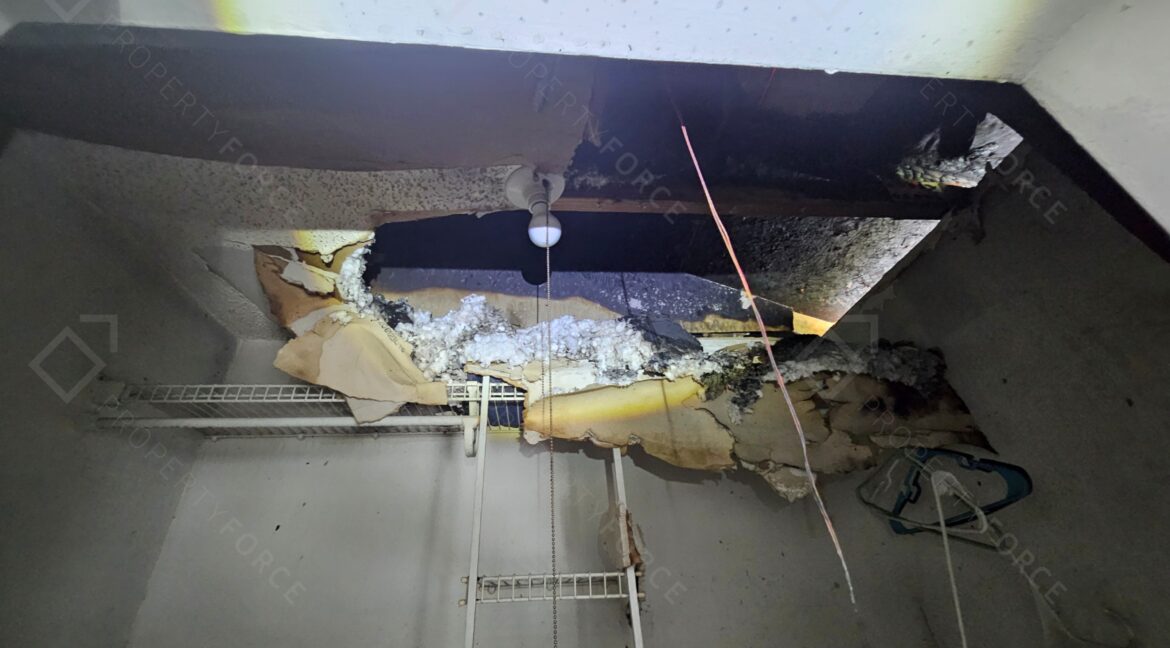 4614 Tree Ridge Ln NE Palm Bay, FL 32905 (27)