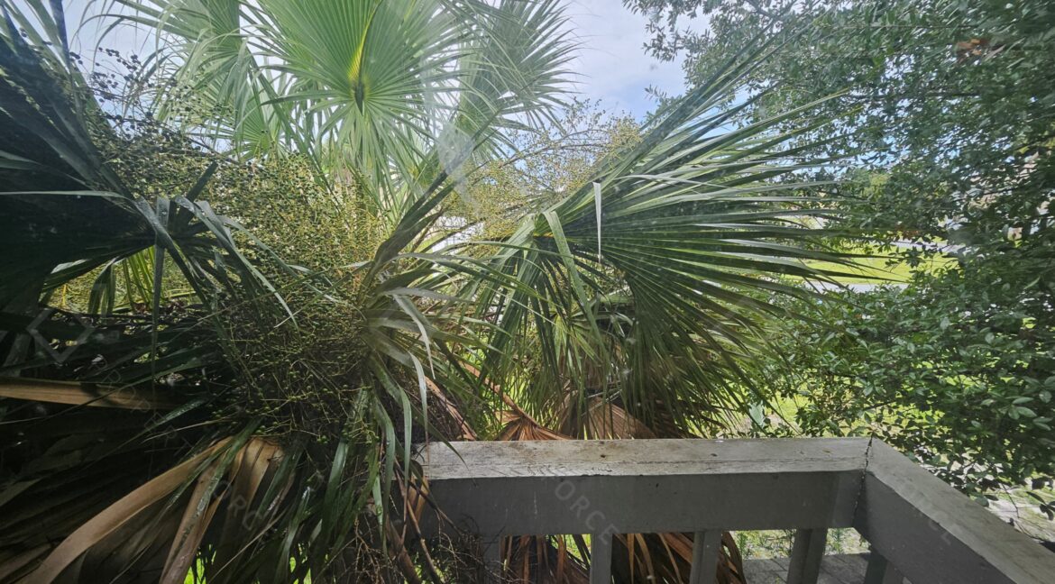 4614 Tree Ridge Ln NE Palm Bay, FL 32905 (4)