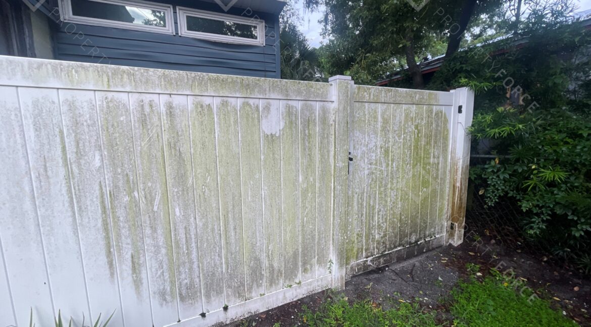 8711 N Dexter Ave, Tampa, FL 33604 (12)